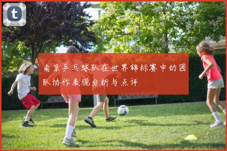 南京乒乓球队在世界锦标赛中的团队协作表现分析与点评
