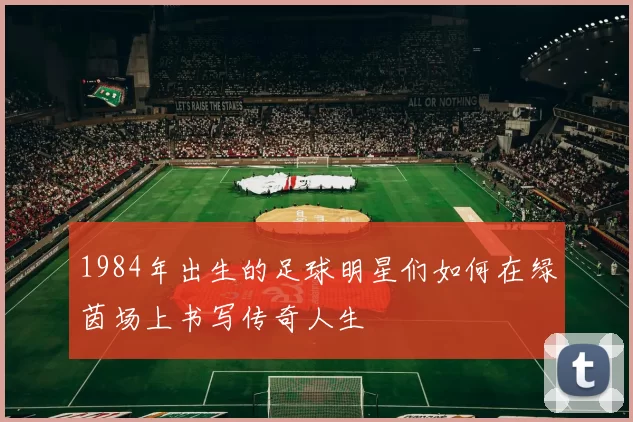 1984年出生的足球明星们如何在绿茵场上书写传奇人生