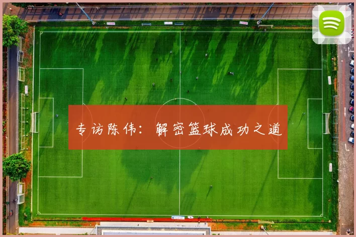 专访陈伟：解密篮球成功之道
