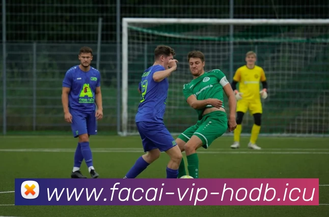 华体会体育注册APP 体育赛事宣传图